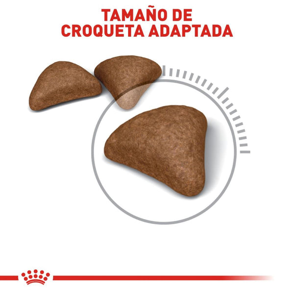 ALIMENTO SECO PARA GATOS DE INTERIOR CONTROL DE BOLAS DE PELO 2.72KG ROYAL CANIN