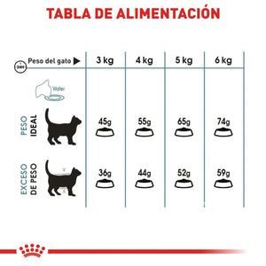 ALIMENTO SECO PARA GATOS DE INTERIOR CONTROL DE BOLAS DE PELO 2.72KG ROYAL CANIN