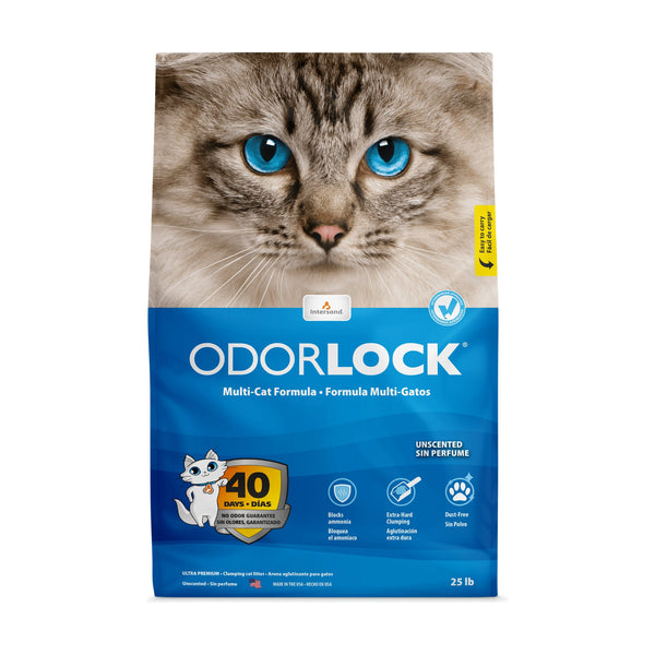 Intersand OdourLock arena aglutinante de arcilla sin aroma para gato, 13 lb (5.9 kg)