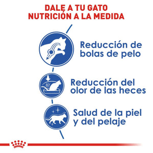 ALIMENTO SECO PARA GATO INDOOR 7+ 2.5KG ROYAL CANIN