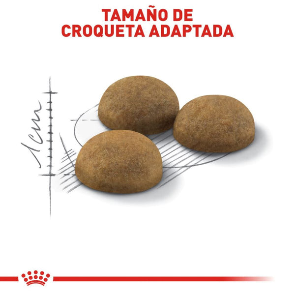 ALIMENTO SECO PARA GATOS DE INTERIOR 13KG ROYAL CANIN