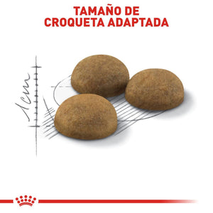 ALIMENTO SECO PARA GATO INDOOR 7+ 2.5KG ROYAL CANIN