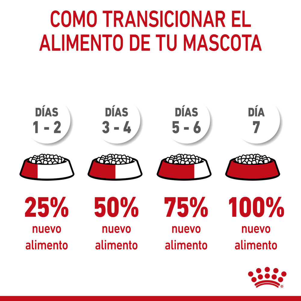 ALIMENTO SECO PARA GATOS KITTEN 3.18KG ROYAL CANIN