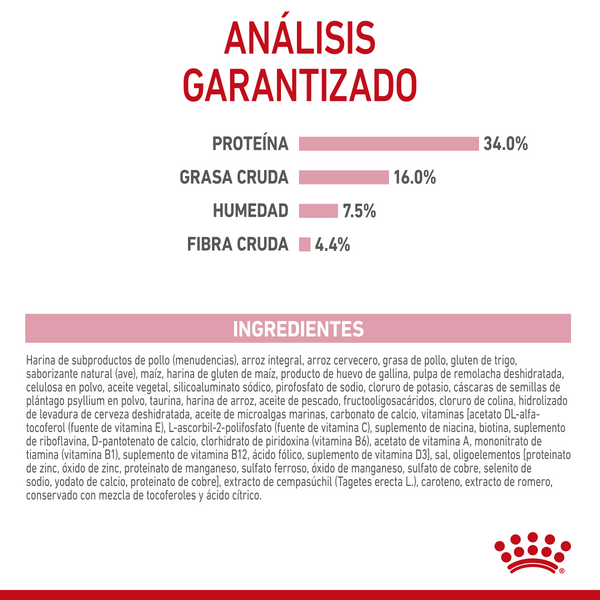 ALIMENTO PARA GATO KITTEN 1.37KG ROYAL CANIN