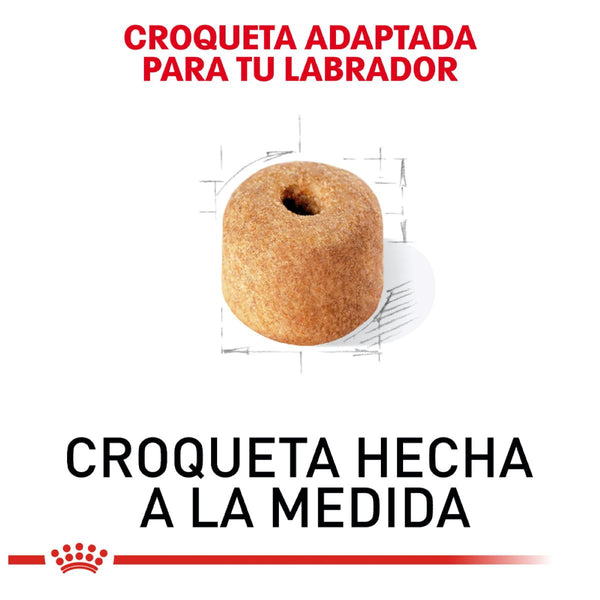 ALIMENTO SECO PARA PERRO RAZA LABRADOR 7.7KG ROYAL CANIN