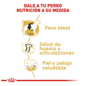ALIMENTO SECO PARA PERRO RAZA LABRADOR 7.7KG ROYAL CANIN