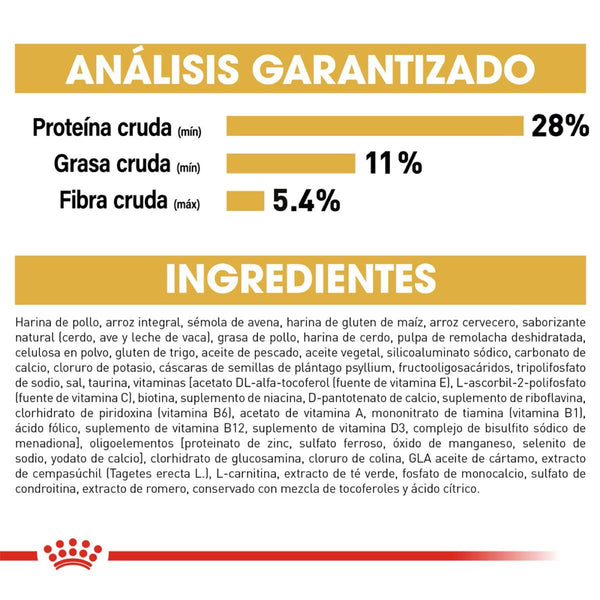 ALIMENTO SECO PARA PERRO RAZA LABRADOR 7.7KG ROYAL CANIN