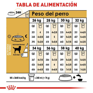 ALIMENTO SECO PARA PERRO RAZA LABRADOR 7.7KG ROYAL CANIN