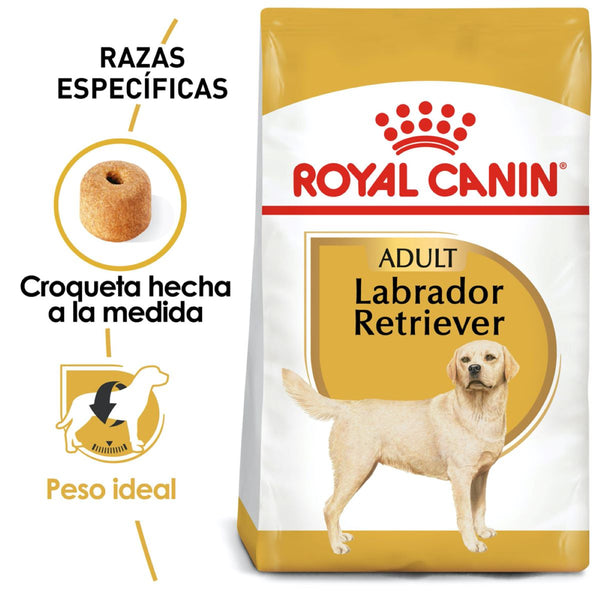 ALIMENTO SECO PARA PERRO RAZA LABRADOR 7.7KG ROYAL CANIN