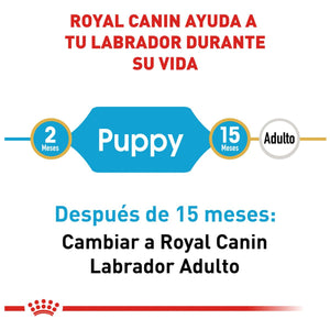 ALIMENTO SECO PARA CACHORRO RAZA LABRADOR 13.6KG ROYAL CANIN