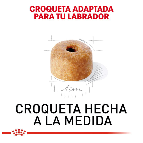 ALIMENTO SECO PARA CACHORRO RAZA LABRADOR 13.6KG ROYAL CANIN