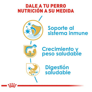 ALIMENTO SECO PARA CACHORRO RAZA LABRADOR 13.6KG ROYAL CANIN