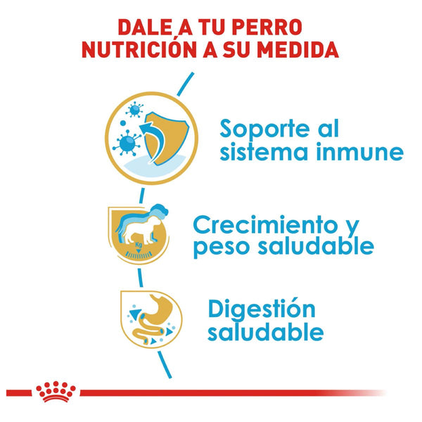 ALIMENTO SECO PARA CACHORRO RAZA LABRADOR 13.6KG ROYAL CANIN