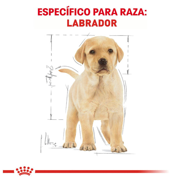 ALIMENTO SECO PARA CACHORRO RAZA LABRADOR 13.6KG ROYAL CANIN