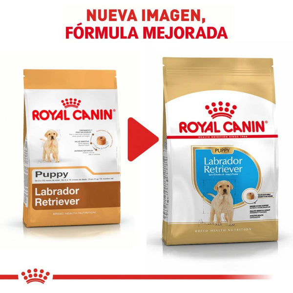 ALIMENTO SECO PARA CACHORRO RAZA LABRADOR 13.6KG ROYAL CANIN