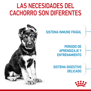 ALIMENTO SECO PARA CACHORROS MAXI 2.72KG  ROYAL CANIN
