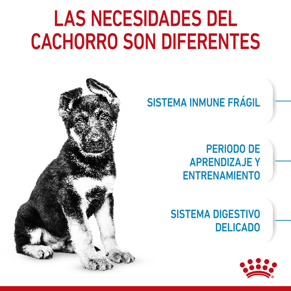 ALIMENTO SECO PARA CACHORROS MAXI 2.72KG  ROYAL CANIN