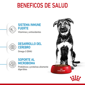 ROYAL CANIN LARGE BREED PUPPY DRY FOOD 13.6KG