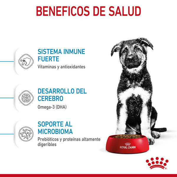 ROYAL CANIN LARGE BREED PUPPY DRY FOOD 13.6KG