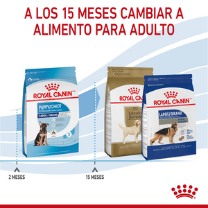 ROYAL CANIN LARGE BREED PUPPY DRY FOOD 13.6KG