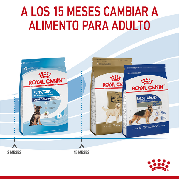 ROYAL CANIN LARGE BREED PUPPY DRY FOOD 13.6KG