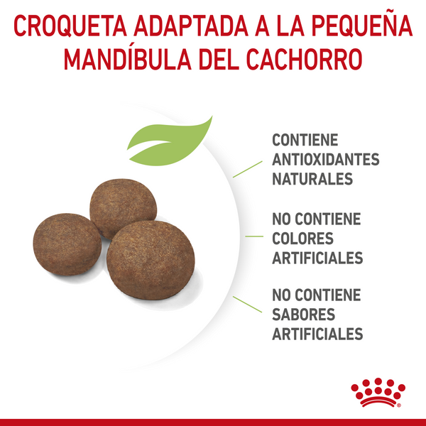 ALIMENTO SECO PARA CACHORROS MAXI 2.72KG  ROYAL CANIN