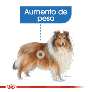DRY DOG FOOD LARGE BREED WEIGHT CONTROL 13.61KG ROYAL CANIN