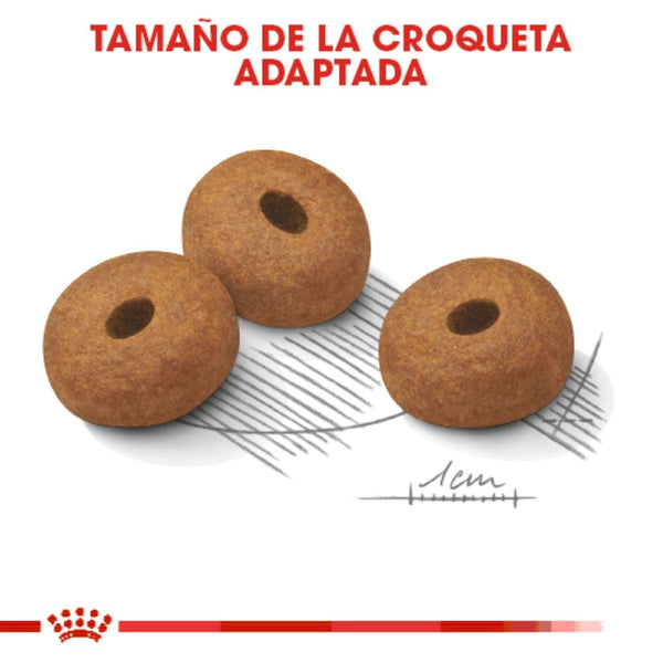 DRY DOG FOOD LARGE BREED WEIGHT CONTROL 13.61KG ROYAL CANIN