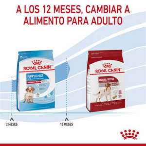 ALIMENTO SECO PARA CACHORROS MEDIANOS 7.72KG ROYAL CANIN