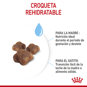 ALIMENTO SECO PARA GATOS MOTHER AND BABYCAT 1.37KG ROYAL CANIN