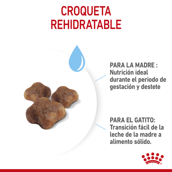 ALIMENTO SECO PARA GATOS MOTHER AND BABYCAT 1.37KG ROYAL CANIN