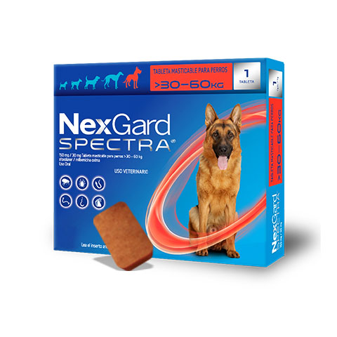 NexGard Spectra tableta masticable antiparasitaria externa e interna para perro de 30.1 a 60 kg (XL), 1 tableta