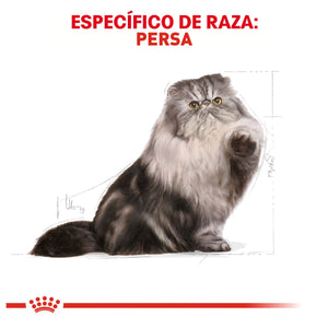 ROYAL CANIN PERSIAN KITTEN DRY CAT FOOD 1.3KG