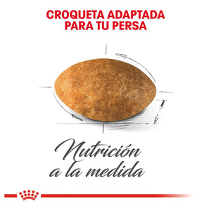 ALIMENTO SECO PARA GATOS RAZA PERSIAN 3.18KG ROYAL CANIN