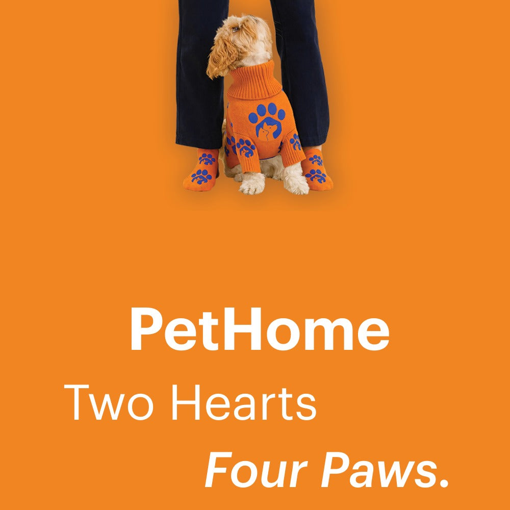 PetHome_TwoHearts_movil_1080.jpg