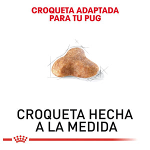 ALIMENTO SECO PARA PERRO RAZA PUG 5.5KG  ROYAL CANIN