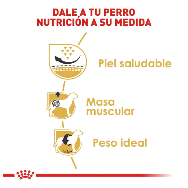 ALIMENTO SECO PARA PERRO RAZA PUG 5.5KG  ROYAL CANIN
