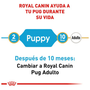 ALIMENTO SECO PARA  PUG PUPPY 1.1KG ROYAL CANIN