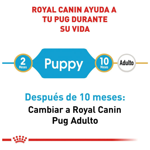 ALIMENTO SECO PARA  PUG PUPPY 1.1KG ROYAL CANIN