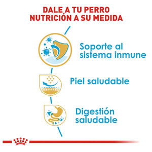 ALIMENTO SECO PARA  PUG PUPPY 1.1KG ROYAL CANIN