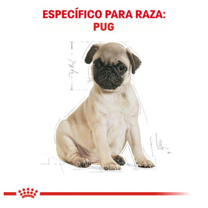 ALIMENTO SECO PARA  PUG PUPPY 1.1KG ROYAL CANIN