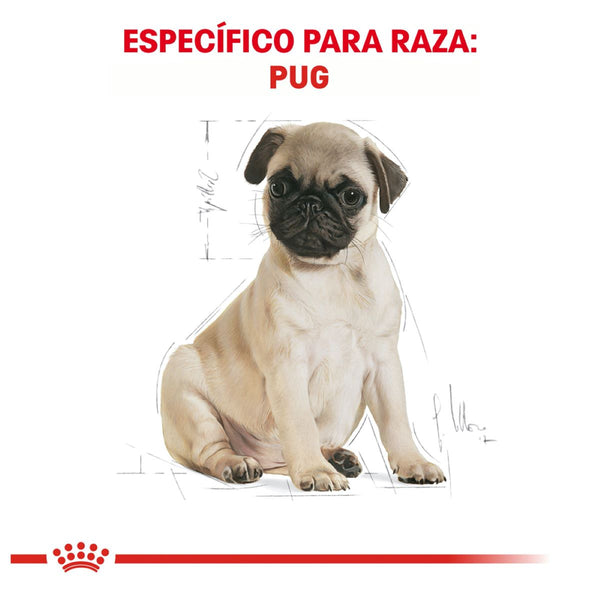 ALIMENTO SECO PARA  PUG PUPPY 1.1KG ROYAL CANIN
