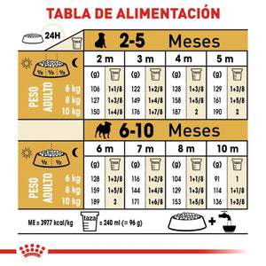 ALIMENTO SECO PARA  PUG PUPPY 1.1KG ROYAL CANIN