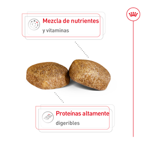 ALIMENTO SECO PARA PERRO GIANT ADULT 13.6KG ROYAL CANIN