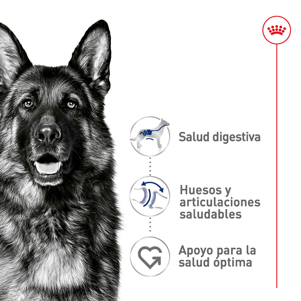 ADULT LARGE BREED DRY DOG FOOD 6.3KG ROYAL CANIN