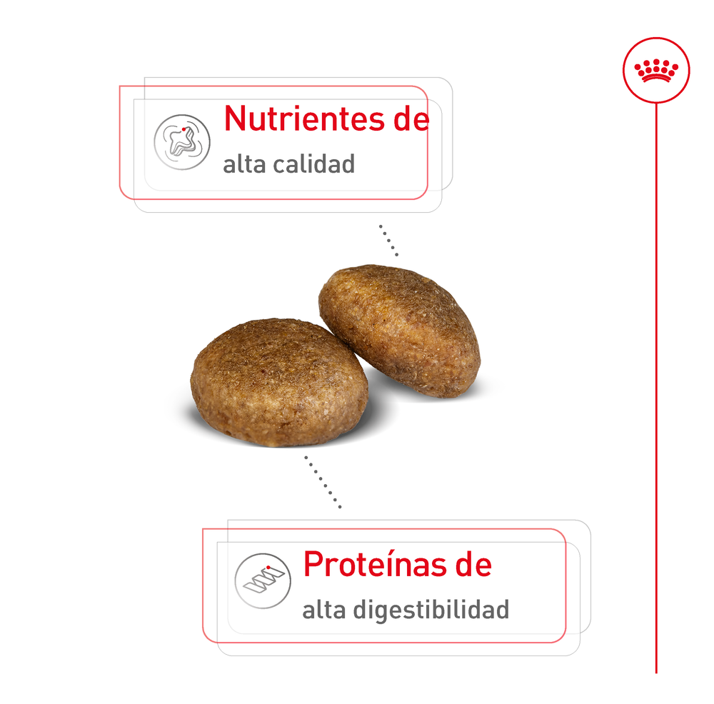 ALIMENTO SECO PARA PERROS ADULTO TAMAÑO GRANDE 13.61KG ROYAL CANIN