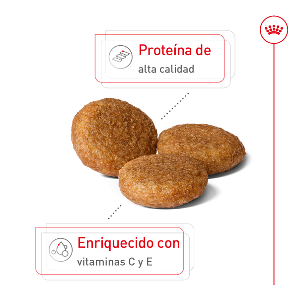 MEDIUM DOG DRY FOOD 13.6KG ROYAL CANIN