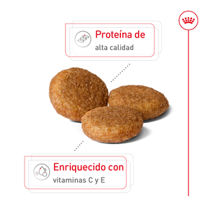 ROYAL CANIN MEDIUM ADULT DRY DOG FOOD 6.3KG