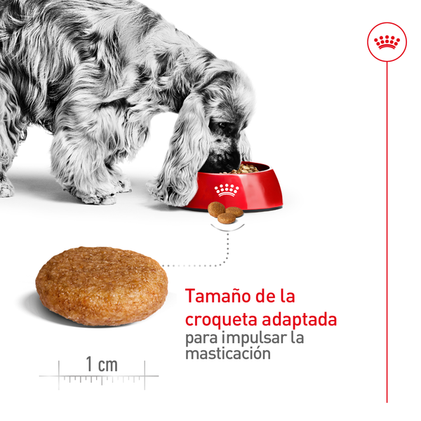 ALIMENTO SECO PARA PERRO ADULTO RAZA MEDIANA 1.82 KG ROYAL CANIN
