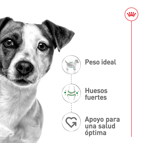ALIMENTO SECO PERRO ADULTO PEQUEÑO 6.36 KG ROYAL CANIN